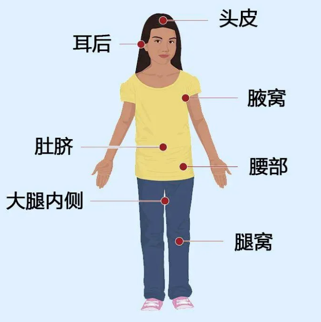 蜱虫附着部位.png 蜱虫附着部位.png
