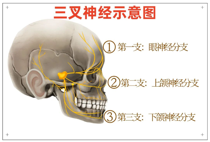 1706058434769.png