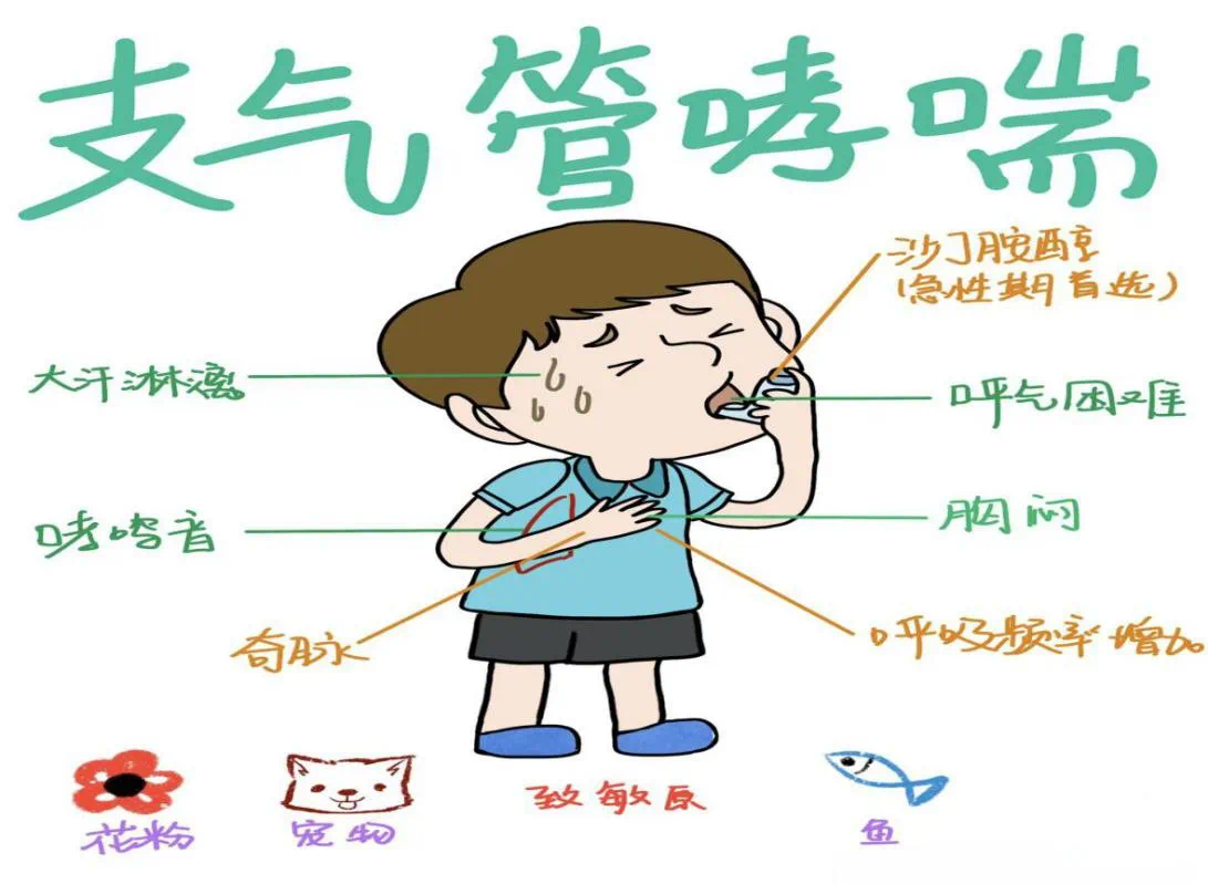 97954a7785a2fd900a819a711a89c51.png
