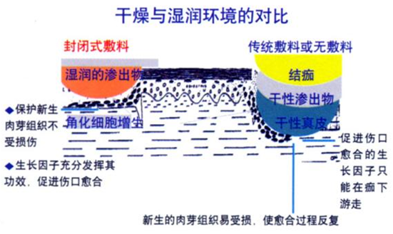 1735781970624.png 1735781970624.png