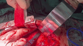 微信图片_20231020151507.gif